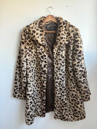 Abrigo de Leopardo Síntesis
