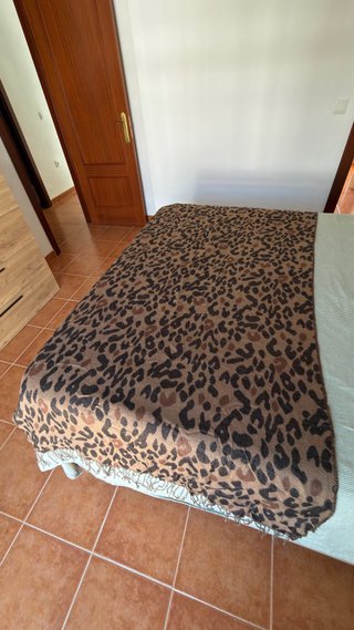 Bufanda Manta Estampada ZARA