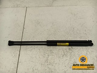 Amortiguadores maletero / porton Renault Vel