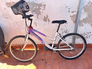 Bicicleta Topbike Teens Girl