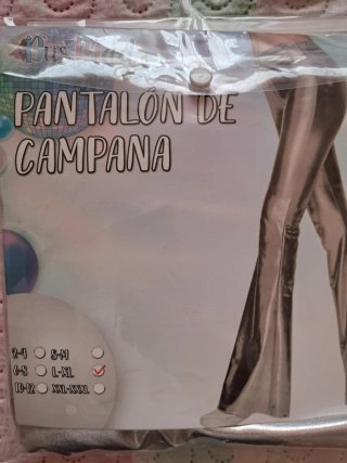Pantalón de campana plateado Carnaval