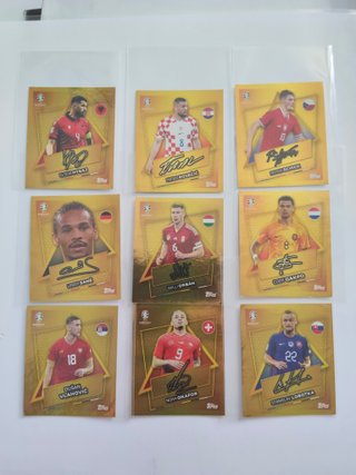 Lote 9 Adesivi Firmati Euro 2024 Topps