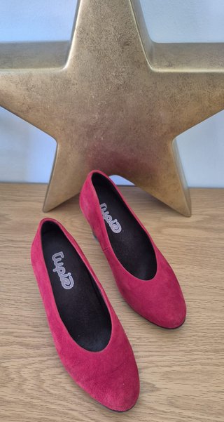 Zapatos de Terciopelo Rojo