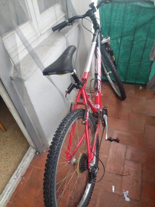 Bicicleta de Montaña Roja y Blanca