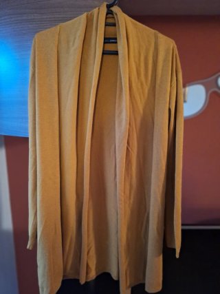 Chaqueta Mostaza Zara