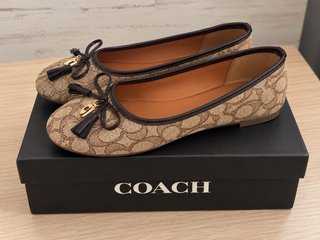 Bailarinas Coach Beige y Marrón