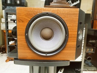 BOSE SEIRES IV PAREJA DE ALTAVOCES