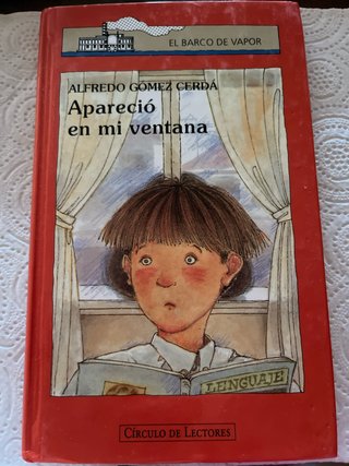 Libro ‘Apareció en mi ventana’