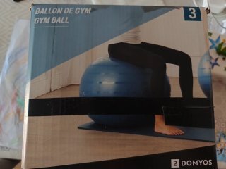 Gymball Domyos Talla 3