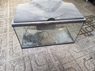 Acuario de 30 Litros