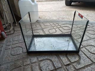 Acuario de 20 Litros