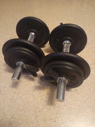 Set de 2 Mancuernas de 10kg