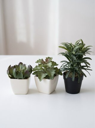 Pack 3 Plantas Artificiales con Maceta