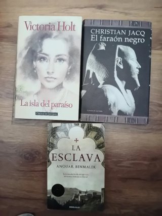 Lote de tres novelas literatura histórica