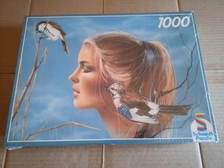 Puzzle 1000 Piezas Schmidt 65x47 Ctm (1991) Luc Ge