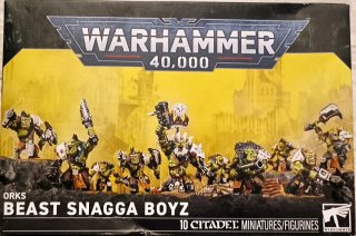 Warhammer 40,000 Orks Beast Snagga Boyz