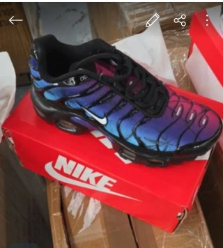 Zapatillas  indpiracion Nike Air Max Plus