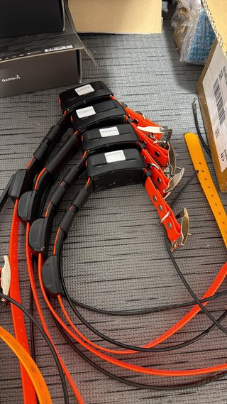 Collares Garmin T5 y TT15