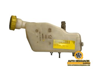 Bomba freno Peugeot 207 (2006->)