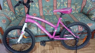 Bicicleta Infantil Rosa Rin 20