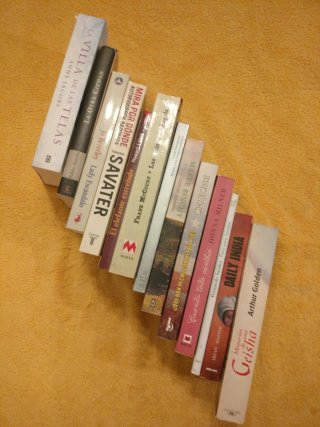 Lote 13 Libros Variados formato grande (Narrativa)