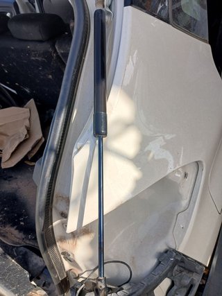 AMORTIGUADORES MALETERO / PORTON Renault Captur I (2013->)