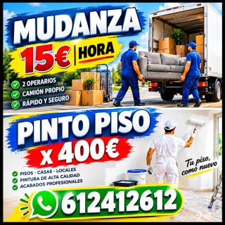 Mudanzas  Pintor  Pintores