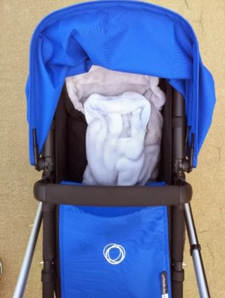 Bugaboo Camaleon 3 Azul