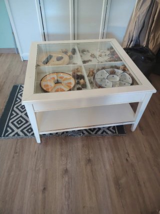 REGALO. Mesa de centro blanca con vitrina