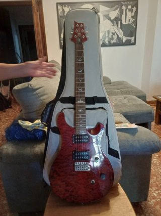 Guitarra Eléctrica Paul Reed Smith (PRS) SE
