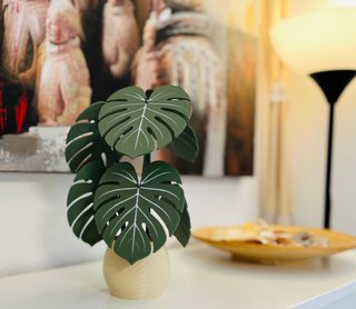 Planta Decorativa Posavasos Ambientador 3 en 1