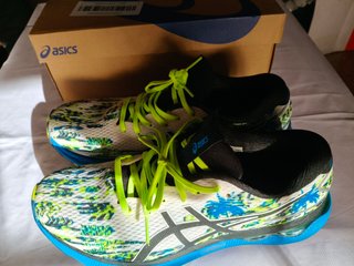 Zapatillas ASICS GEL-Nimbus 24 Edición Especial