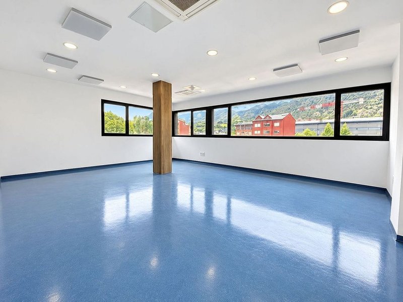 Commercial premises for rent in Encamp · 6 of 14
