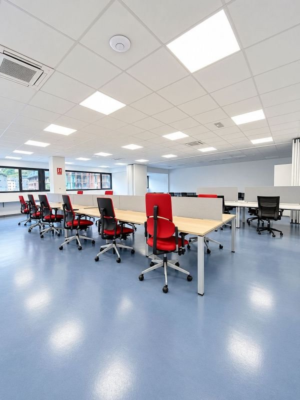 Commercial premises for rent in Encamp · 9 of 14