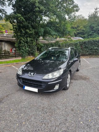 Peugeot 407 (Sin FAP)
