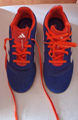 Zapatillas de fútbol sala Adidas Predator