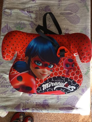 Alzador de coche Ladybug