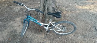 Bicicleta Infantil Cup's Kiddy 24