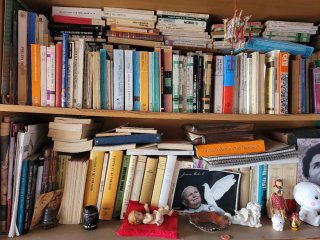 Lotes de libros y enciclopedias variadas