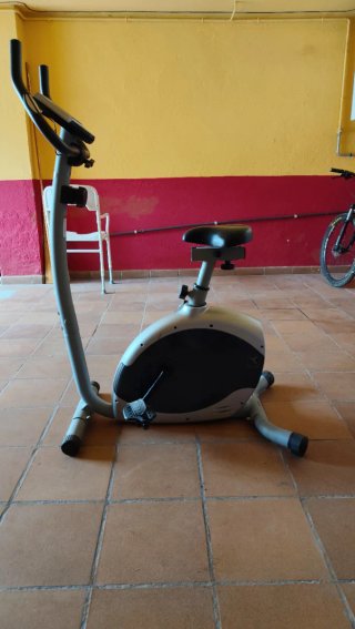 Bicicleta Estática Gris