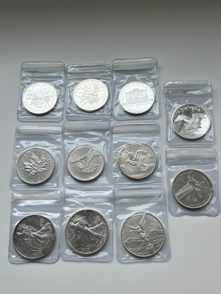 Lote de 11 monedas de plata de 1 onza
