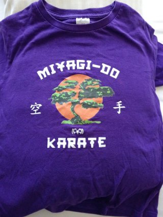 Camiseta Miyagi-Do Karate
