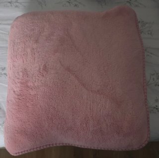 2 cojines Rosa Primark, precio unidad 5 euros.