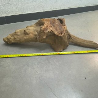 Tronco de Mangrove para Acuario