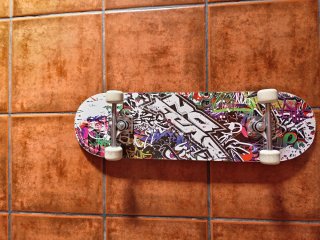 Skate con diseño estampado