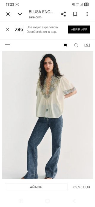 Blusa de encaje Zara