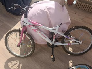 Bicicleta Infantil 20 Pulgadas
