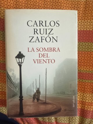 La sombra del viento
