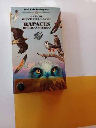 Guía de campo: Identificación de rapaces ibéricas