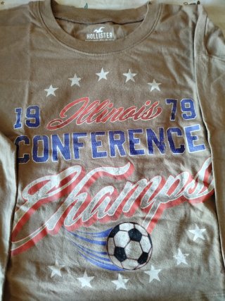 Camiseta Manga Larga Hollister